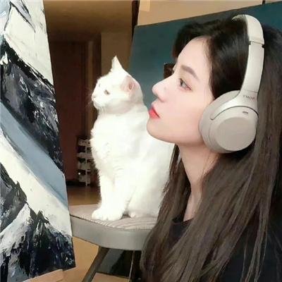 复仇之谜